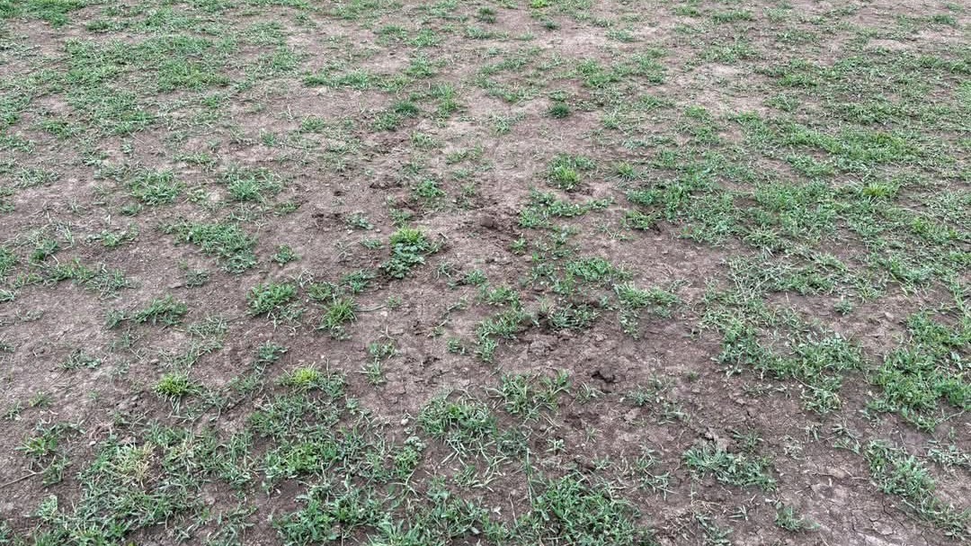 Eksklüziv: Gənclər və İdman Nazirliyinin, AFFA-nın, PFL-in bostanı - Video